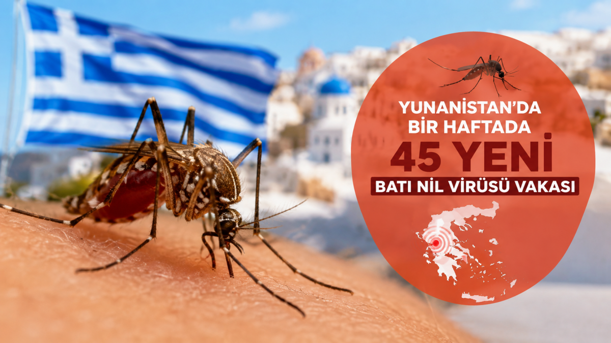 Yunanistan'da bir haftada 45 yeni Batı Nil virüsü vakası