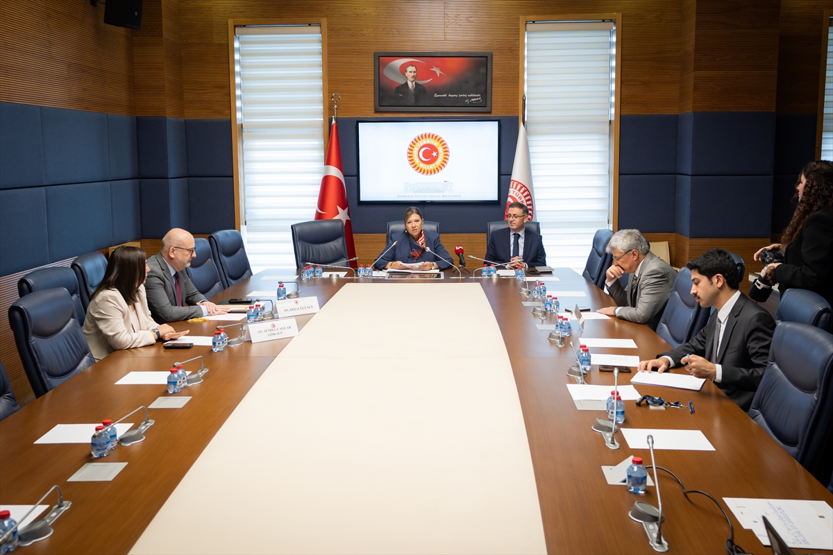 Yurt Dışı Türkler ve Akraba Topluluklar Alt Komisyonu toplandı