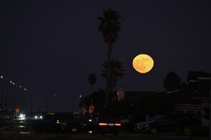California'da 